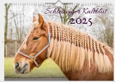 Motive für den Schleswiger Kaltblut Kalender 2026 gesucht! (Bild vergrößern)
