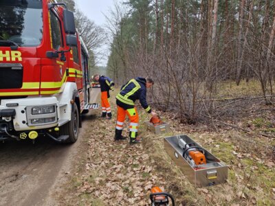 Ausbildung an Motorkettensägen