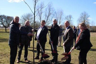Foto zur Meldung: Baum des Jahres 2025 im „Hain der Bäume“ gepflanzt