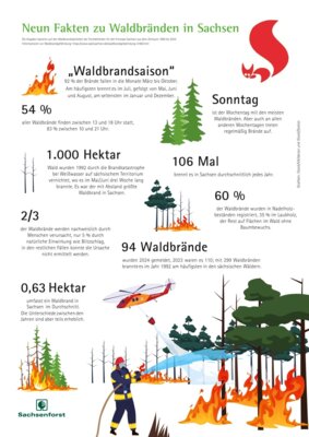 Gemeinsame Pressemitteilung Sachsenforst und DWD (Bild vergrößern)