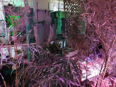 Eine Nacht im Zeichen der Naturwissenschaften