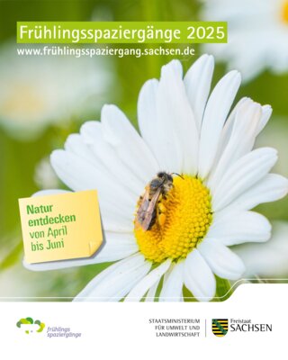 Meldung: Frühlingsspaziergänge 2025