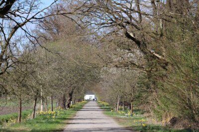 Der Wege-Garten von Wietzendorf (Bild vergrößern)