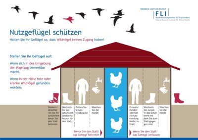 Merkblatt „Nutzgeflügel schützen“ (Quelle: Friedrich-Loeffler-Institut FLI) (Bild vergrößern)