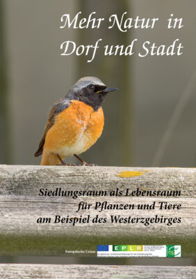 Neue Broschüre „Mehr Natur in Dorf und Stadt“ Unsere „wilden Nachbarn“ brauchen Beistand (Bild vergr&ouml;&szlig;ern)