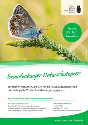 Foto zu Meldung: Brandenburger Naturschutzpreis 2025: Einsendungen bis zum 30. Juni möglich!