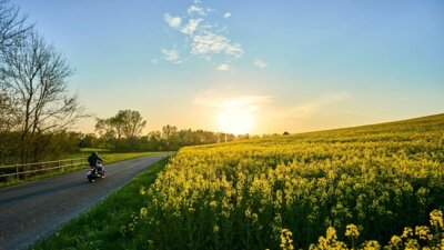 Meldung: Mehr Fahrspaß – weniger Risiko: Mit dem Bike in den Frühling