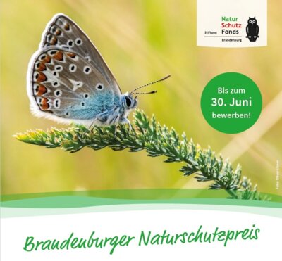 Foto zur Meldung: Brandenburger Naturschutzpreis 2025
