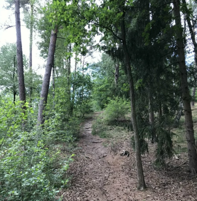 Borsteler Schweiz- Was macht die Schweiz mitten in der Lüneberger Heide? (Bild vergrößern)