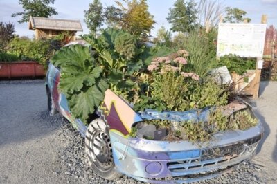 Urban Gardening: Gemeinsam für grünere Städte (Bild vergrößern)