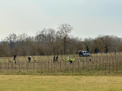 Meldung: Aufrebung fast abgeschlossen
