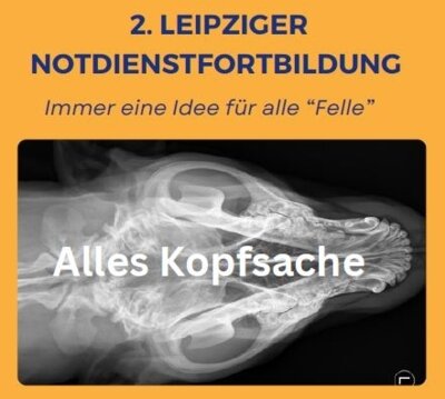 Notdienstfortbildung (Bild vergrößern)