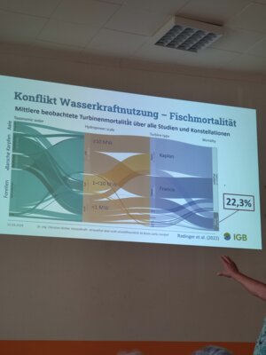 Diagramm zur Mortalität durch Turbinen  Foto: IG Bode-Lachs e.V