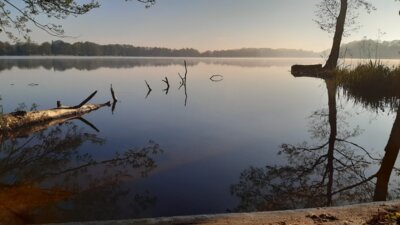 Nightfalltour rund um den Sankelmarker See - Samstag 12.04.