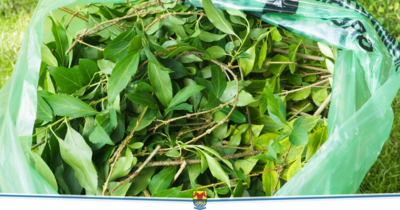 Gartenabfälle entsorgen – ganz einfach vor Ort (Bild vergrößern)