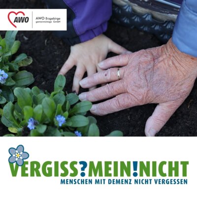 "Vergissmeinnicht" (Bild vergrößern)