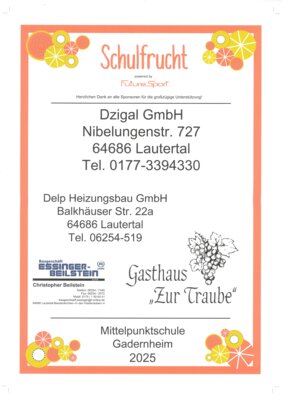Sponsoren Future Sport (Bild vergrößern)