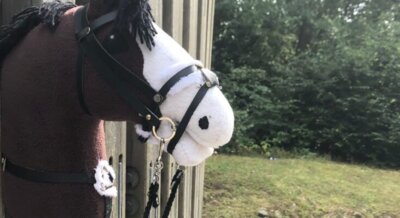 Neue Hobby Horsing Abteilung (Bild vergr&ouml;&szlig;ern)