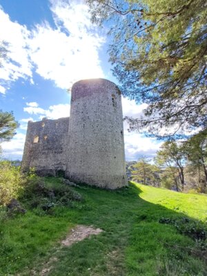 Burg Kličevica bei Benkovac 🇭🇷 (Bild vergrößern)