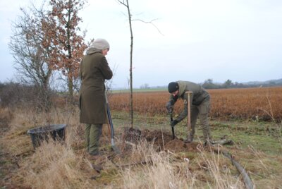Foto zur Meldung: REGION: 35 Bäume zum Naturparkjubiläum gepflanzt