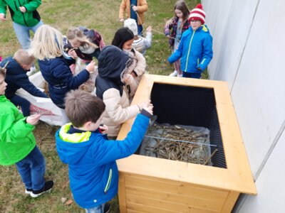 LC Hochbeet vorbereiten (Bild vergrößern)