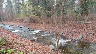 Nachhaltiges Gärtnern trotz Wasserknappheit
