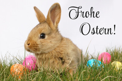 Oster-Such-Aktion 2025
