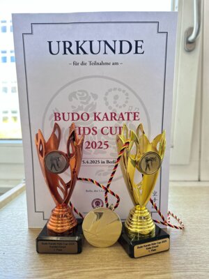 Foto zur Meldung: Erfolge beim Budo Karate Kids Cup in Berlin