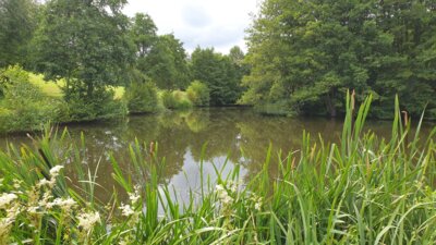 Löschteich Springiersbach©SonjaMüller