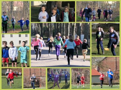 Gelungene Crosslauf-Premiere bei herrlichem Sonnenschein