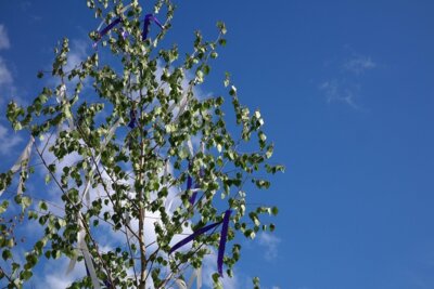 Maibaumfreunde Breitenbach (Bild vergrößern)
