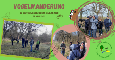 LPV-Vogelwanderung durch die Muldenaue (Bild vergrößern)