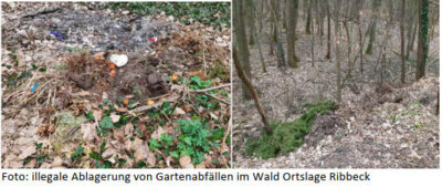 Foto: Forstamt Havelland (Bild vergrößern)