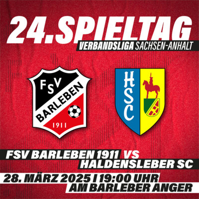 Derby! Heimspiel gegen den Haldensleber SC. (Bild vergrößern)