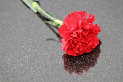 Meldung: stilles Gedenken zum Tag der Befreiung