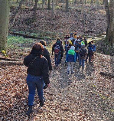 Der vierte Jahrgang im Wald