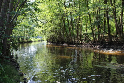 Gewässerschauen des Wasser- und Bodenverbandes „Dosse-Jäglitz“