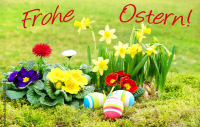 🐰Frohe Ostern! 🐰