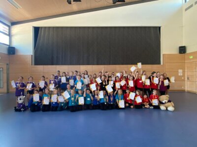 Meldung: Jumpers Cup in Diersburg