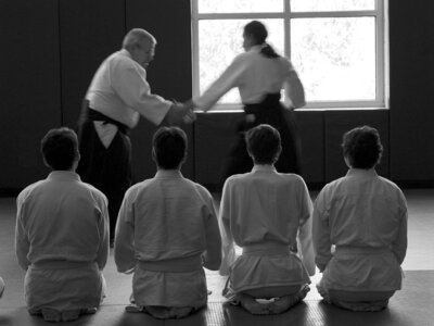 Beim Aikido stehen Selbstbeherrschung, Respekt und Disziplin im Vordergrund. Foto: Ananbelle Lee/Pixabay (Bild vergrößern)