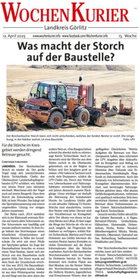 Meldung: Was macht der Storch auf der Baustelle?