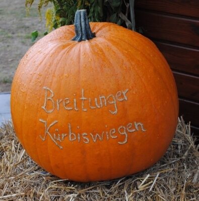 Meldung: „THÜRINGER PRACHTKÜRBIS GESUCHT. KINDER MACHT MIT!“ - Wettbewerbsaufruf  an Grundschulen und Kindergärten
