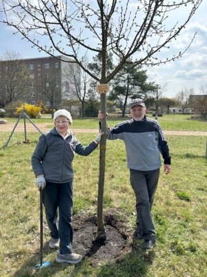 Foto zur Meldung: Frühjahrsputz im Garten der Kinder: Gemeinsam für ein blühendes Quartier