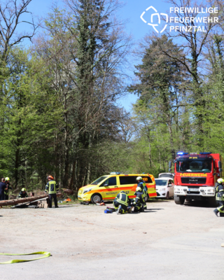 Pkw fährt in Wandergruppe am Naturerlebnispfad Pfinztal – Tote und Verletzte (Bild vergrößern)