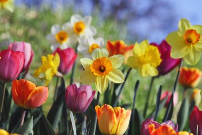 Der Katholische Arbeitskreis für Familienerholung e. V. wünscht frohe Ostern