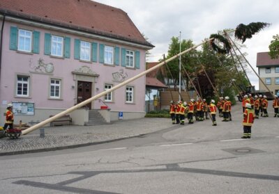Maibaum wird aufgestellt