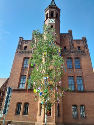 Foto: Rolandstadt Perleberg/Renè Hill | Der traditionelle Maibaum wird am 30. April vor dem Rathaus geschmückt und dann aufgestellt.