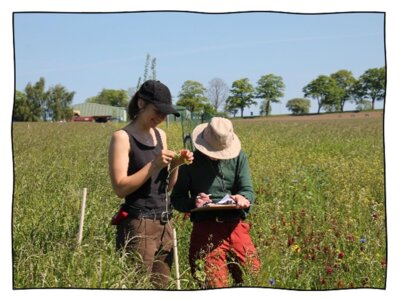 Foto zu Meldung: Mitforschen auf dem Mittelhof Gessin – Auftaktveranstaltung zum Agroforst-Monitoring