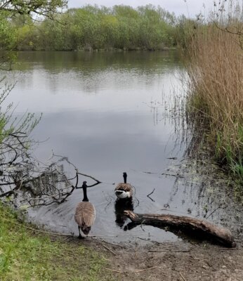 Eider-Wanderweg ... (Bild vergr&ouml;&szlig;ern)