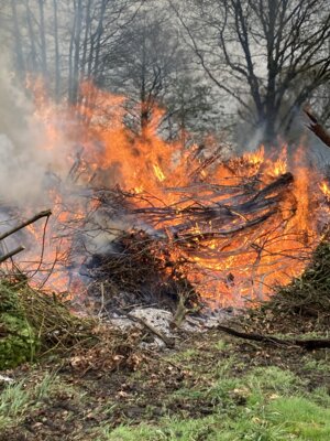 Meldung: Hemdinger Osterfeuer 2025 – Ein gelungener Abend